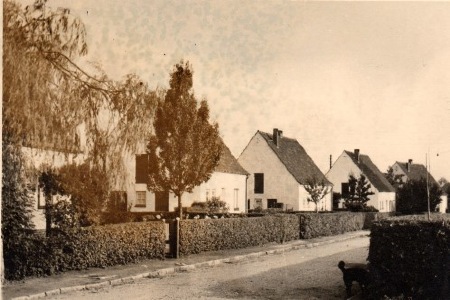 Siedlung Zopp - Glückaufstrasse - Vor jedem Haus eine Hecke.