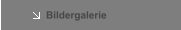 Bildergalerie