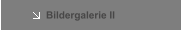 Bildergalerie II