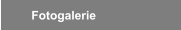  Fotogalerie 